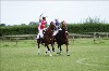 UKPA NC SAT_2746